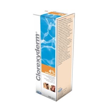Icf Clorexyferm Soluzione 4% Disinfettante Cani E Gatti 100 Ml