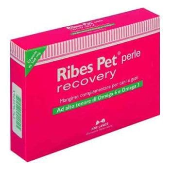 Nbn Lanes Ribes Pet Recovery Integratore Dermatite Cani E Gatti 60 Perle