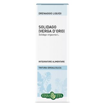 Solidago Tintura Idroalcolica 50 Ml Ebv