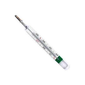 Termometro Gallio Vedoeco Plus