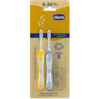 CHICCO SPAZZOLINO 6-36 MESI + DOPPIO AZZURRO-GIALLO