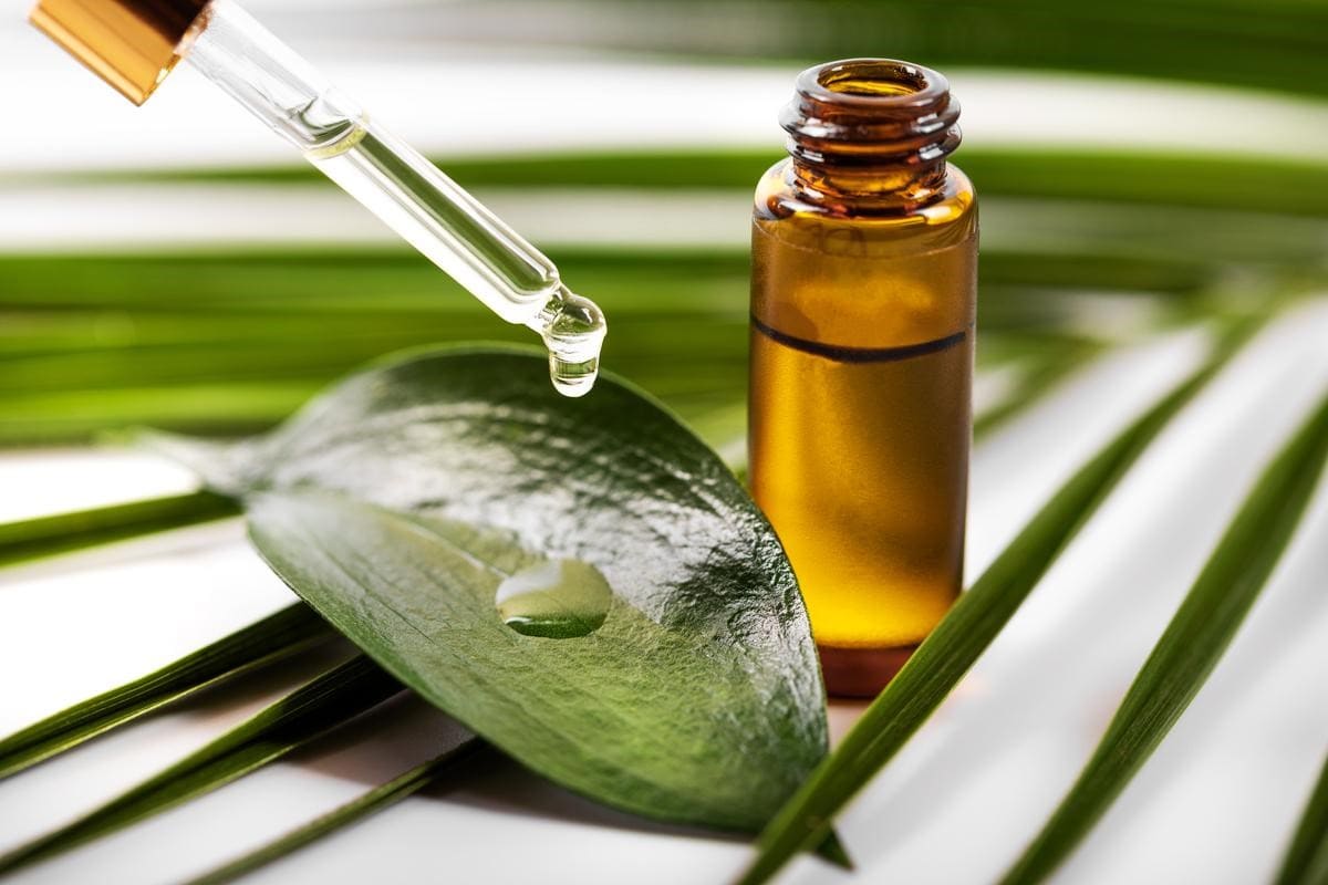 A cosa serve il tea tree oil e quando conviene utilizzarlo