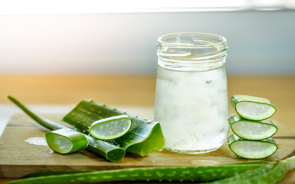 Aloe: depurazione e transito intestinale, i benefici per la tua salute -  Blog