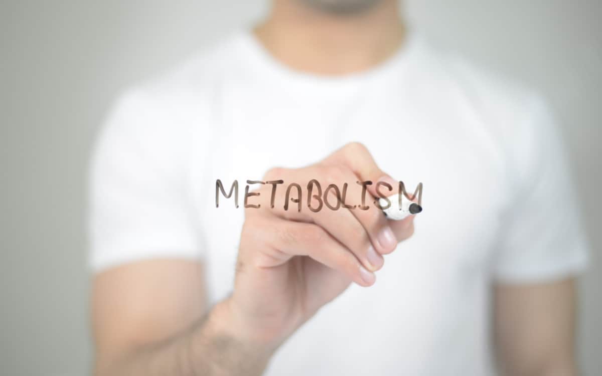 Svelare i segreti del metabolismo: come accendere il motore del vostro corpo