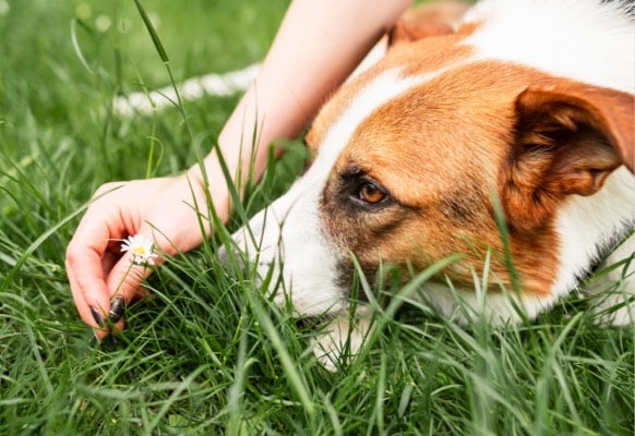 Farmacia Uno - Insettorepellenti e Protezione ambientale